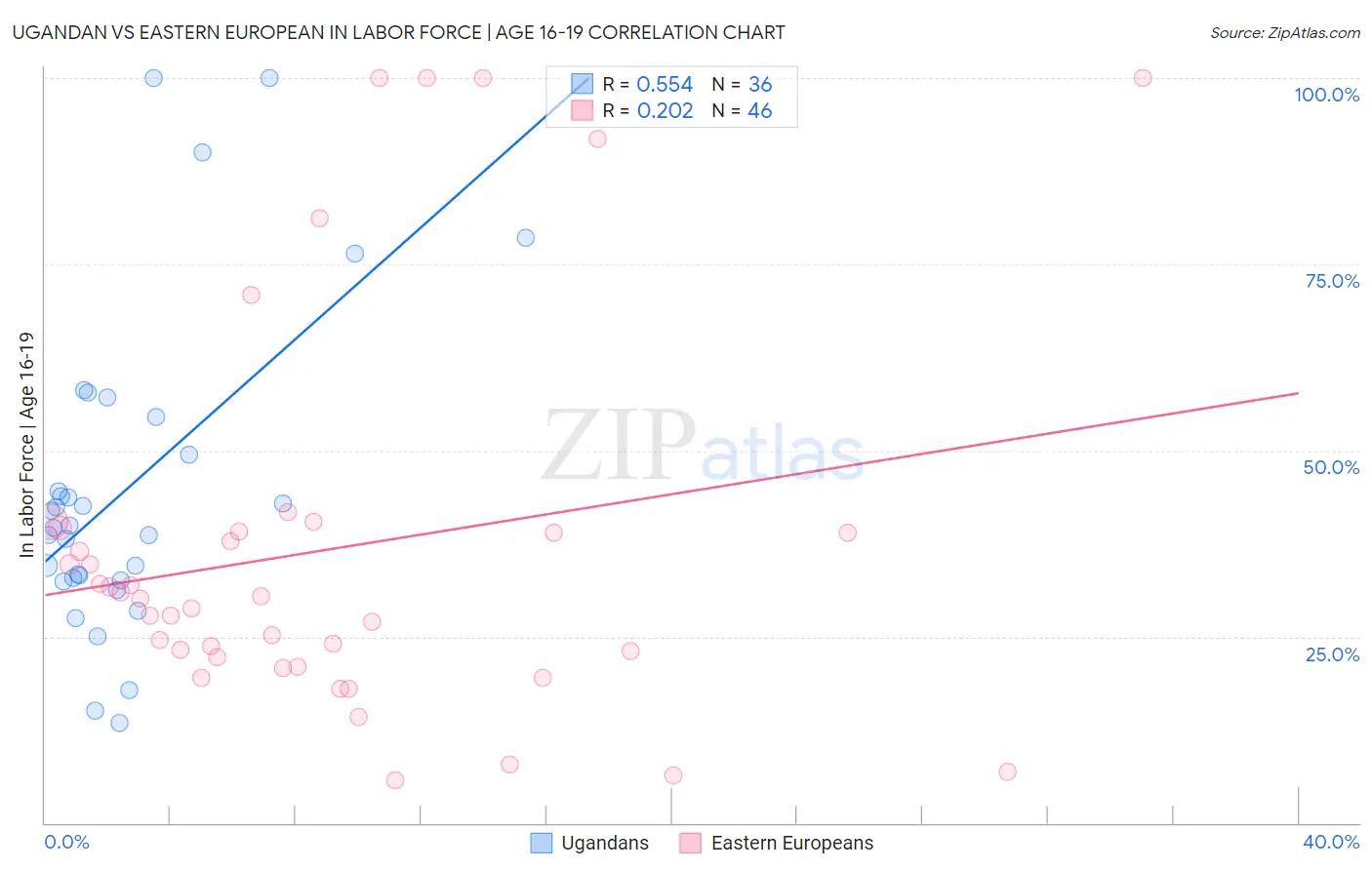 Ugandan vs Eastern European In Labor Force | Age 16-19