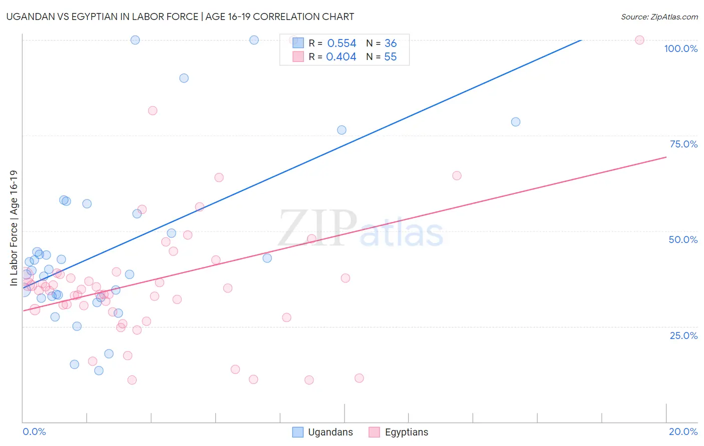 Ugandan vs Egyptian In Labor Force | Age 16-19