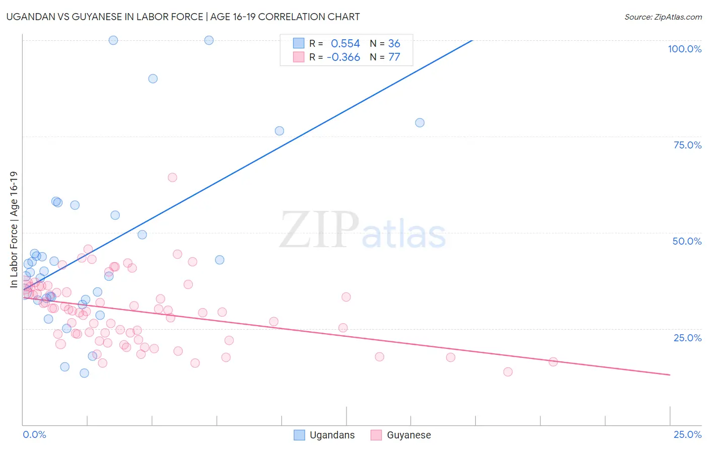Ugandan vs Guyanese In Labor Force | Age 16-19