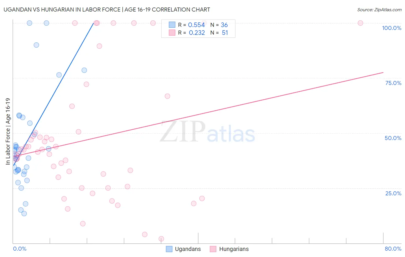 Ugandan vs Hungarian In Labor Force | Age 16-19
