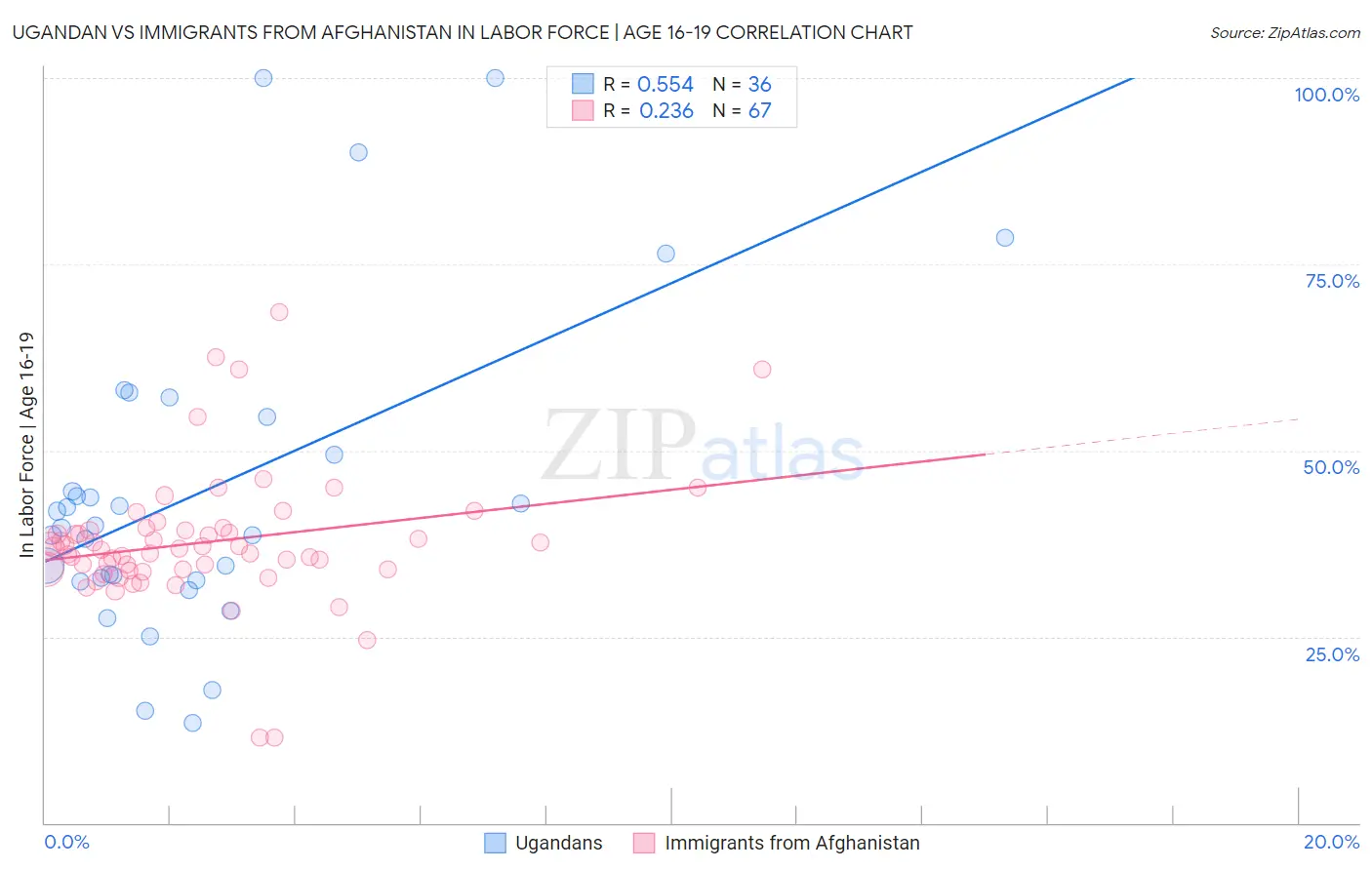 Ugandan vs Immigrants from Afghanistan In Labor Force | Age 16-19