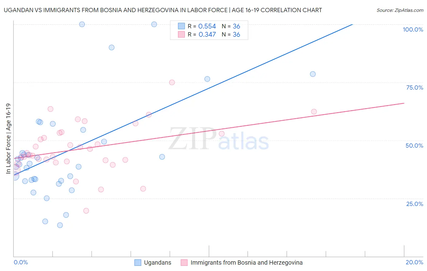 Ugandan vs Immigrants from Bosnia and Herzegovina In Labor Force | Age 16-19