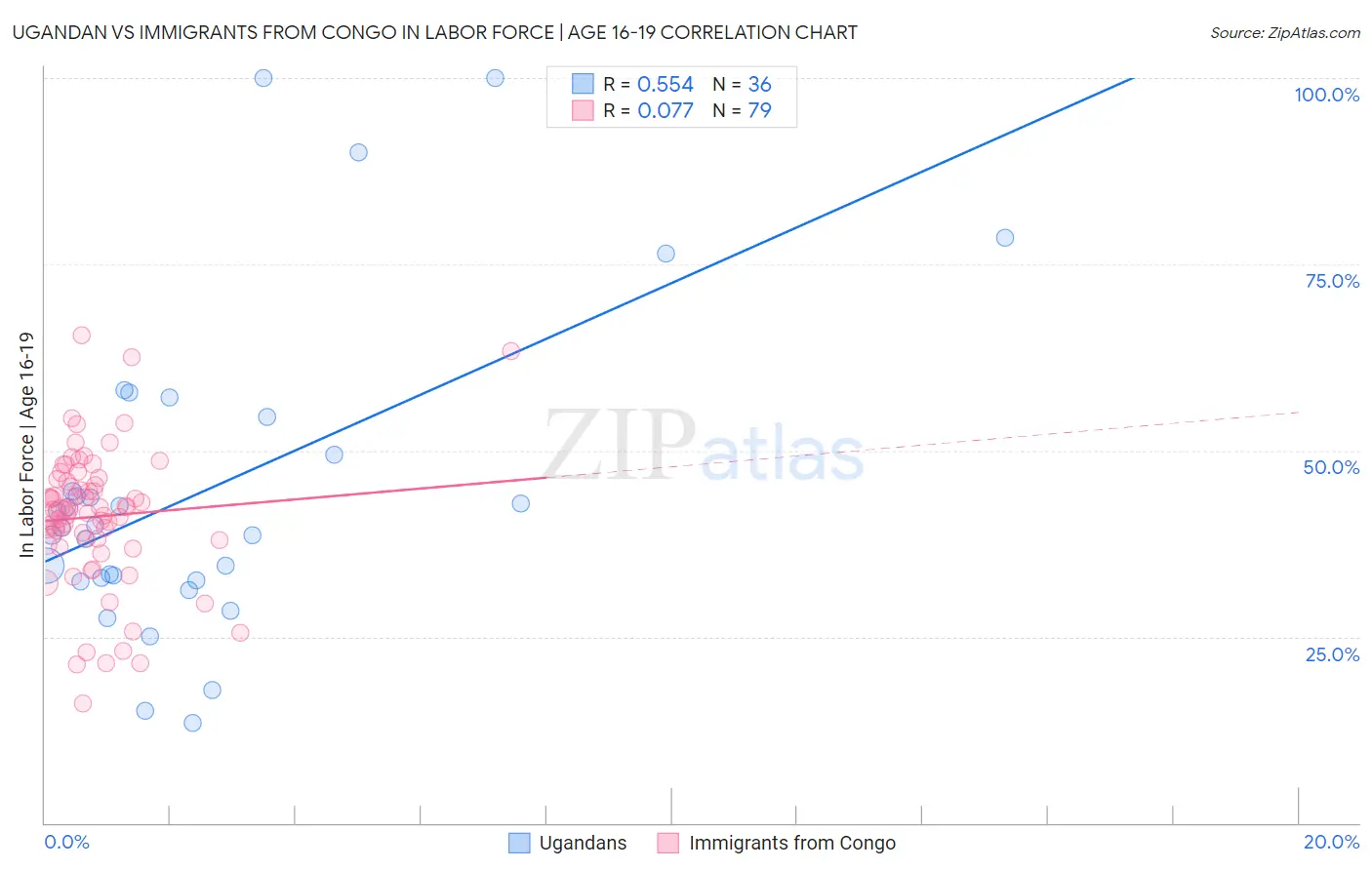 Ugandan vs Immigrants from Congo In Labor Force | Age 16-19