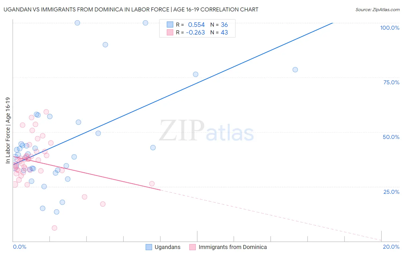 Ugandan vs Immigrants from Dominica In Labor Force | Age 16-19