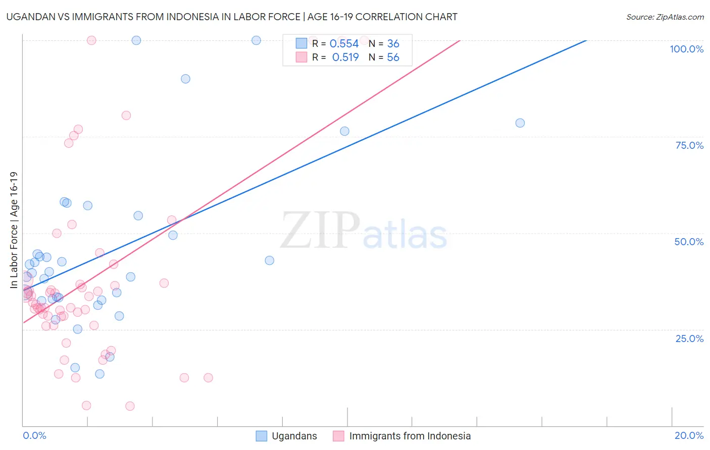Ugandan vs Immigrants from Indonesia In Labor Force | Age 16-19
