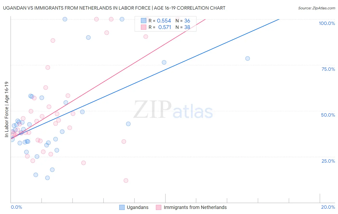 Ugandan vs Immigrants from Netherlands In Labor Force | Age 16-19