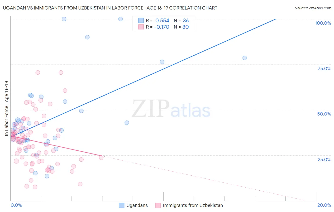 Ugandan vs Immigrants from Uzbekistan In Labor Force | Age 16-19