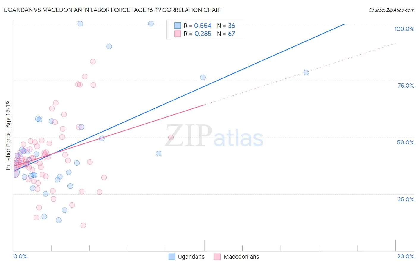 Ugandan vs Macedonian In Labor Force | Age 16-19
