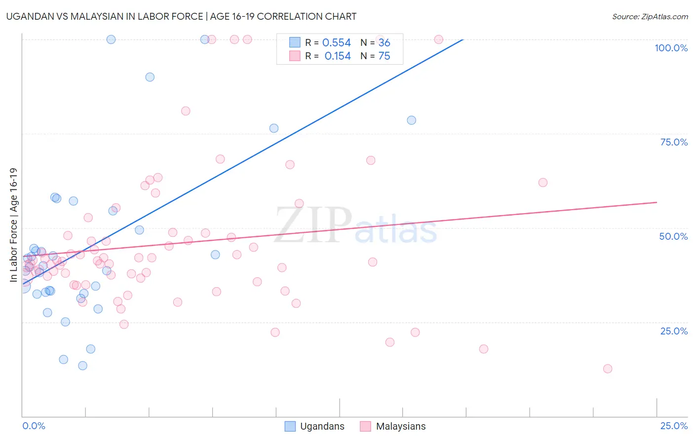 Ugandan vs Malaysian In Labor Force | Age 16-19