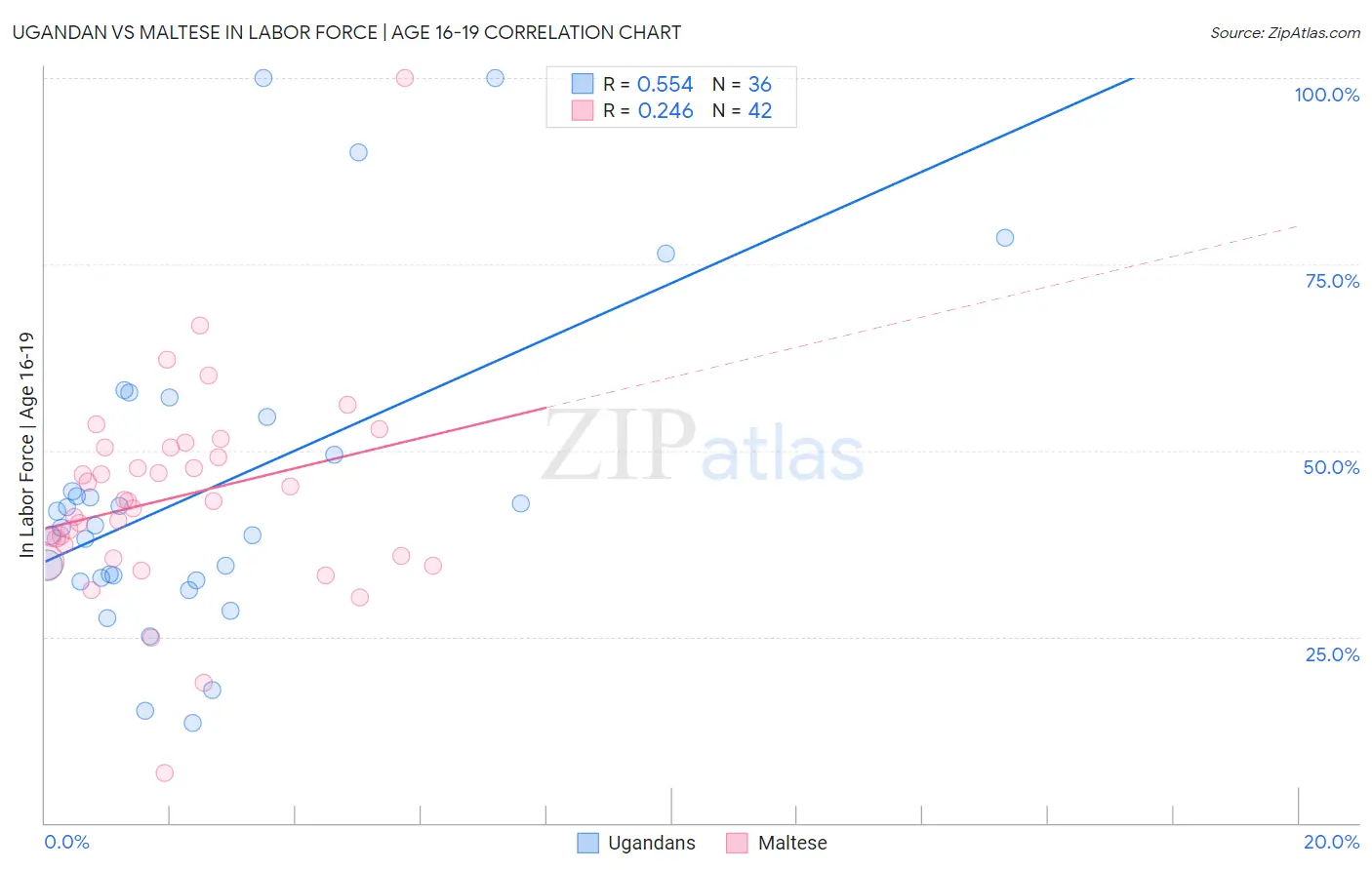 Ugandan vs Maltese In Labor Force | Age 16-19