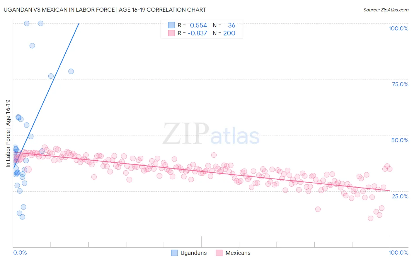 Ugandan vs Mexican In Labor Force | Age 16-19