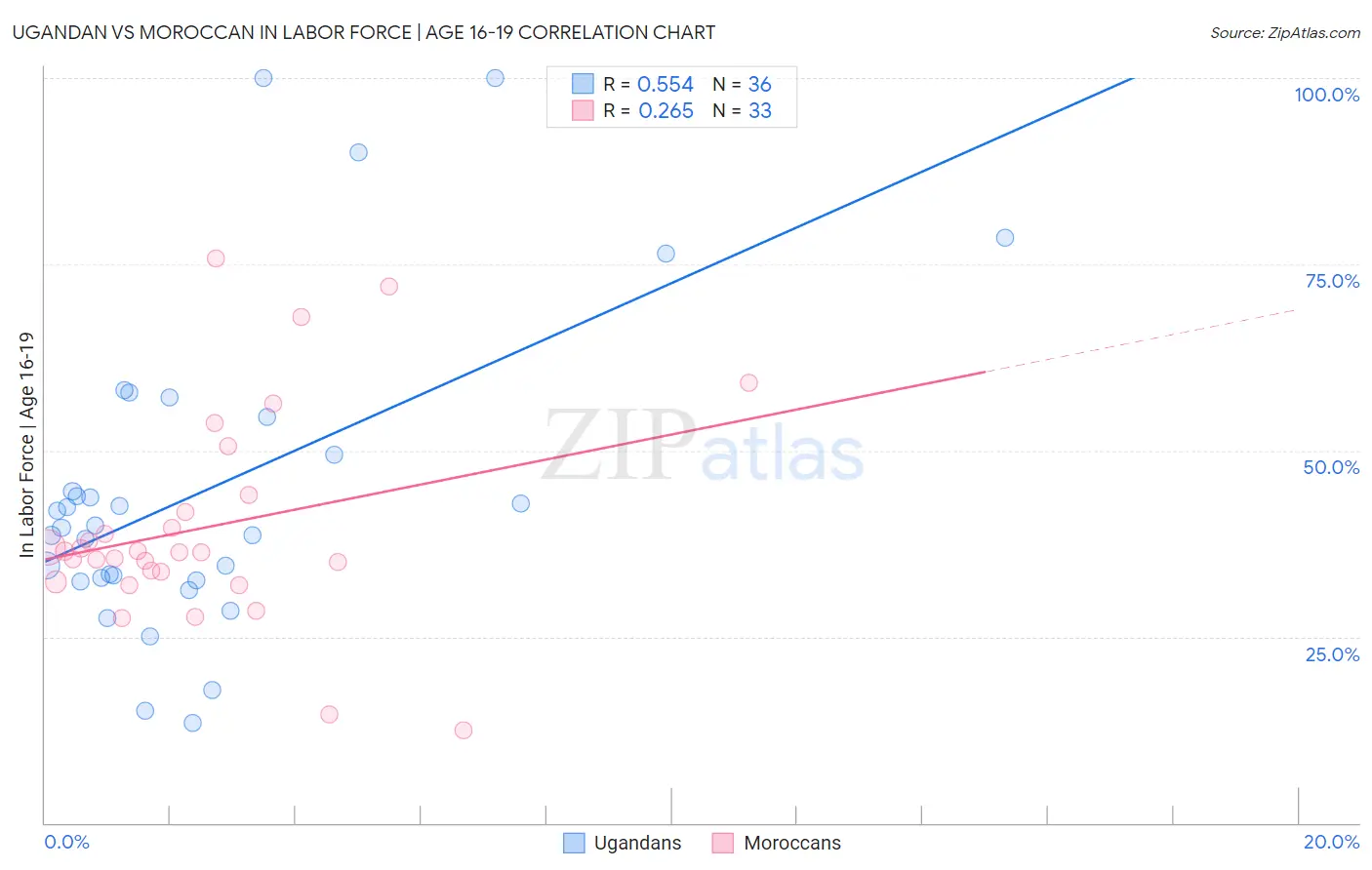 Ugandan vs Moroccan In Labor Force | Age 16-19