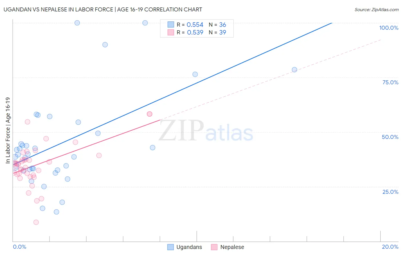 Ugandan vs Nepalese In Labor Force | Age 16-19