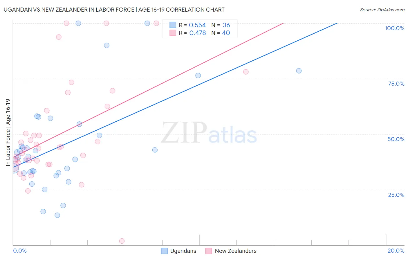 Ugandan vs New Zealander In Labor Force | Age 16-19