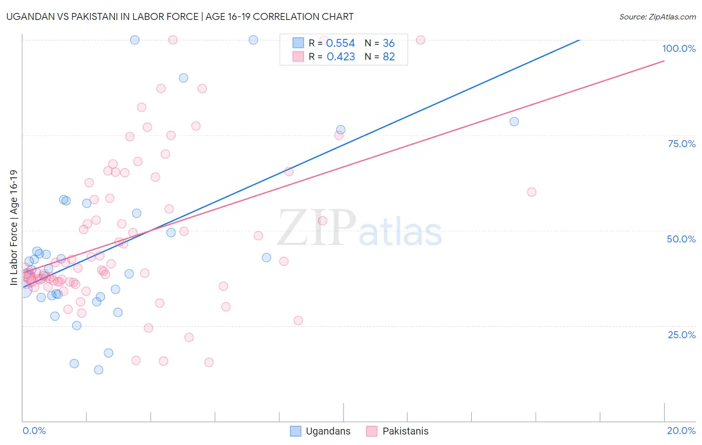 Ugandan vs Pakistani In Labor Force | Age 16-19