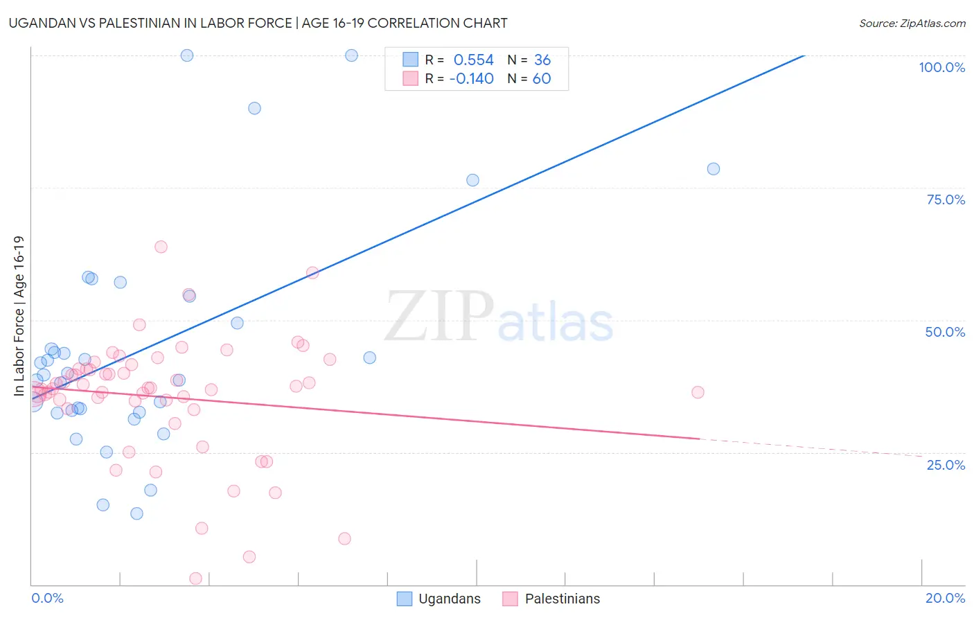 Ugandan vs Palestinian In Labor Force | Age 16-19