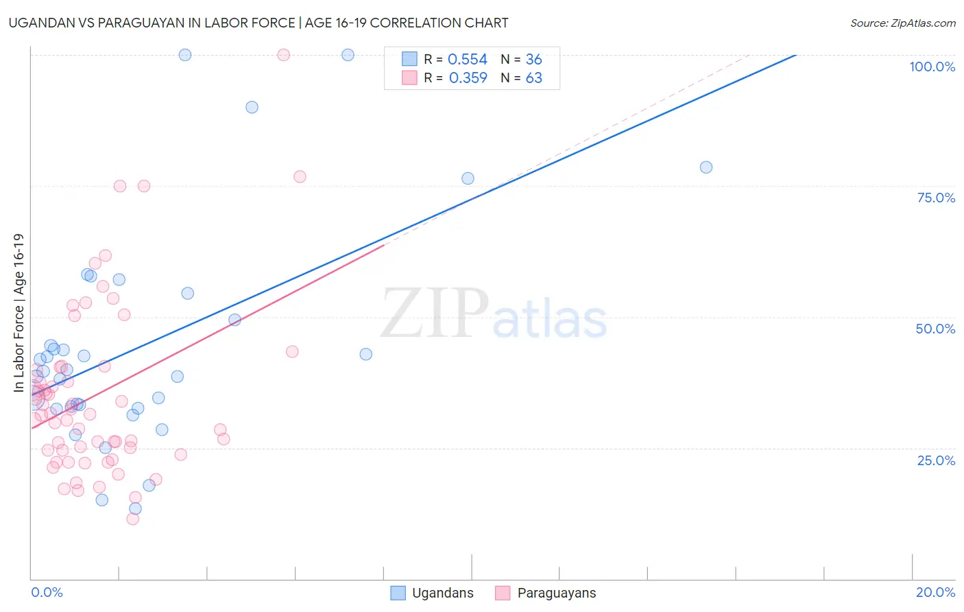 Ugandan vs Paraguayan In Labor Force | Age 16-19