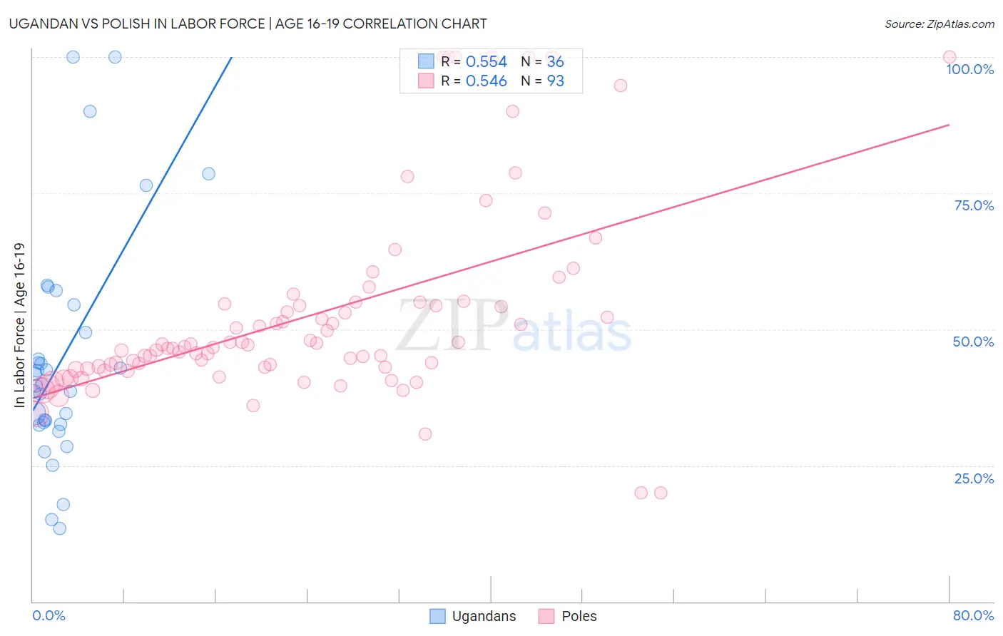 Ugandan vs Polish In Labor Force | Age 16-19