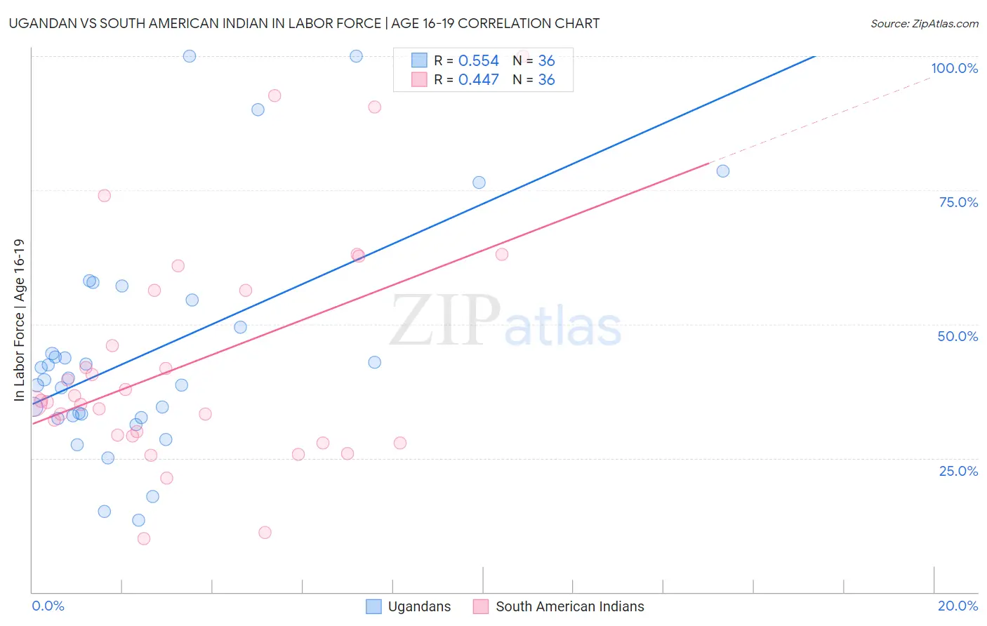 Ugandan vs South American Indian In Labor Force | Age 16-19