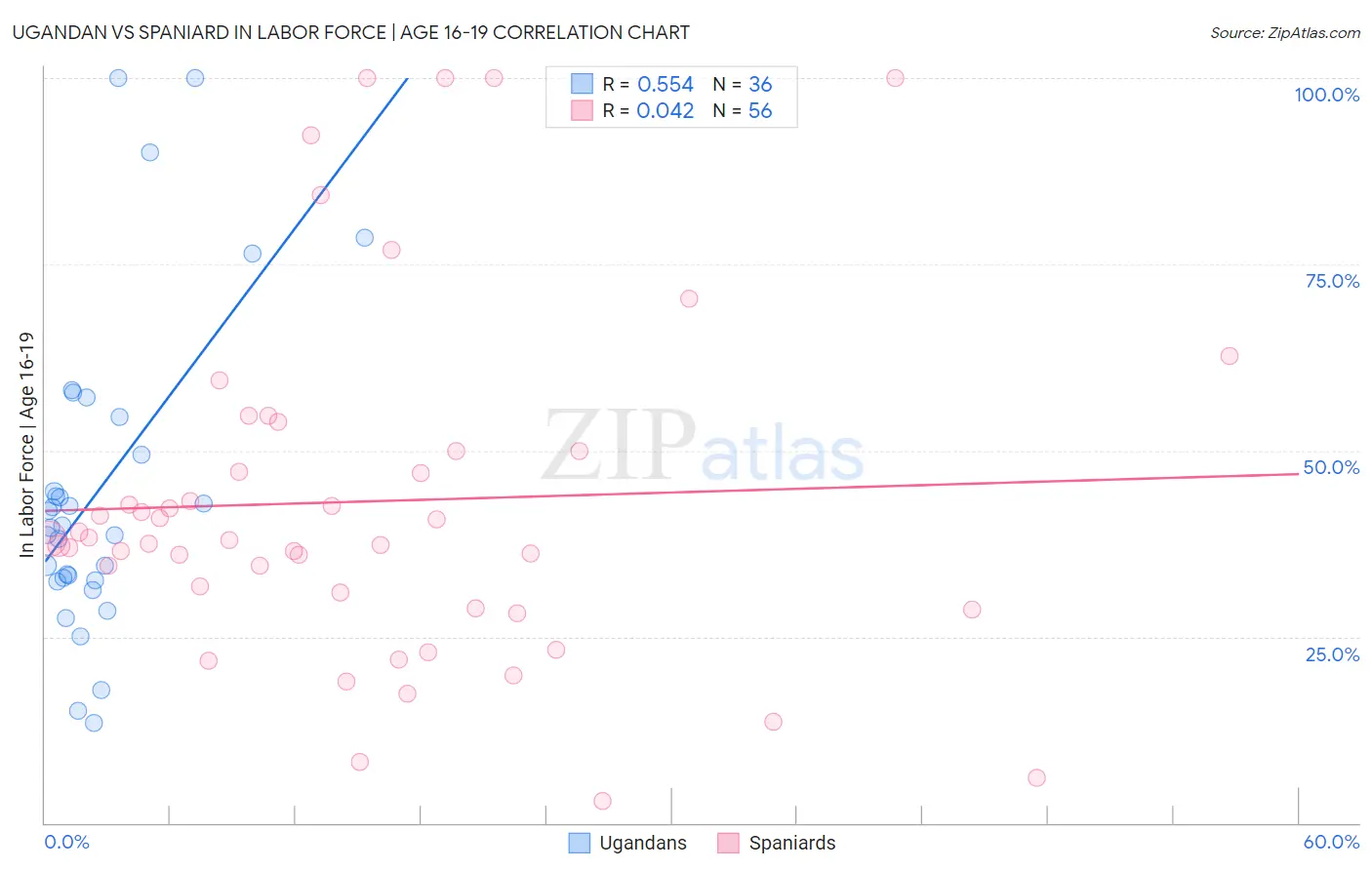 Ugandan vs Spaniard In Labor Force | Age 16-19