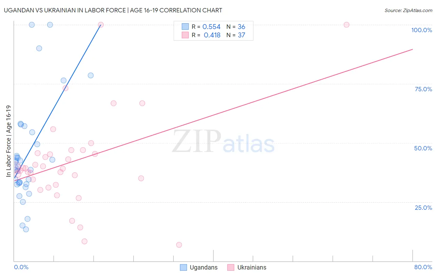 Ugandan vs Ukrainian In Labor Force | Age 16-19