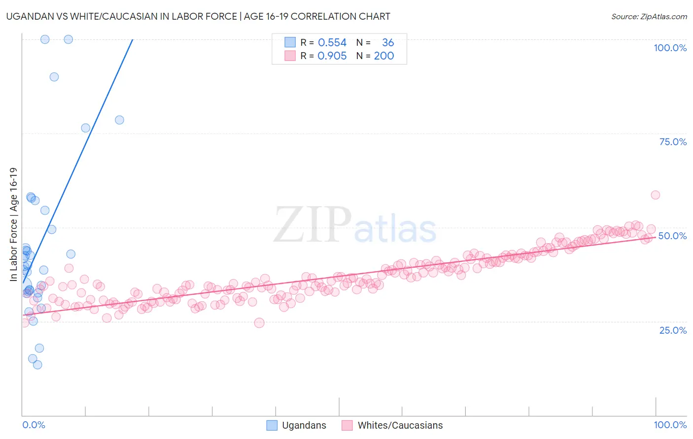 Ugandan vs White/Caucasian In Labor Force | Age 16-19