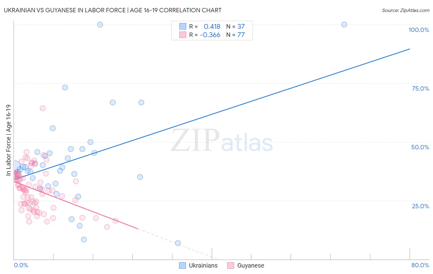 Ukrainian vs Guyanese In Labor Force | Age 16-19