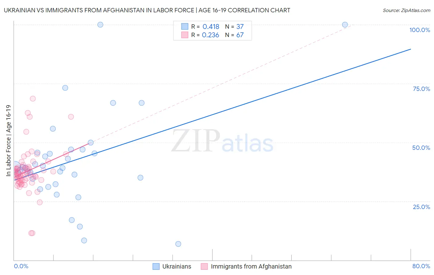 Ukrainian vs Immigrants from Afghanistan In Labor Force | Age 16-19