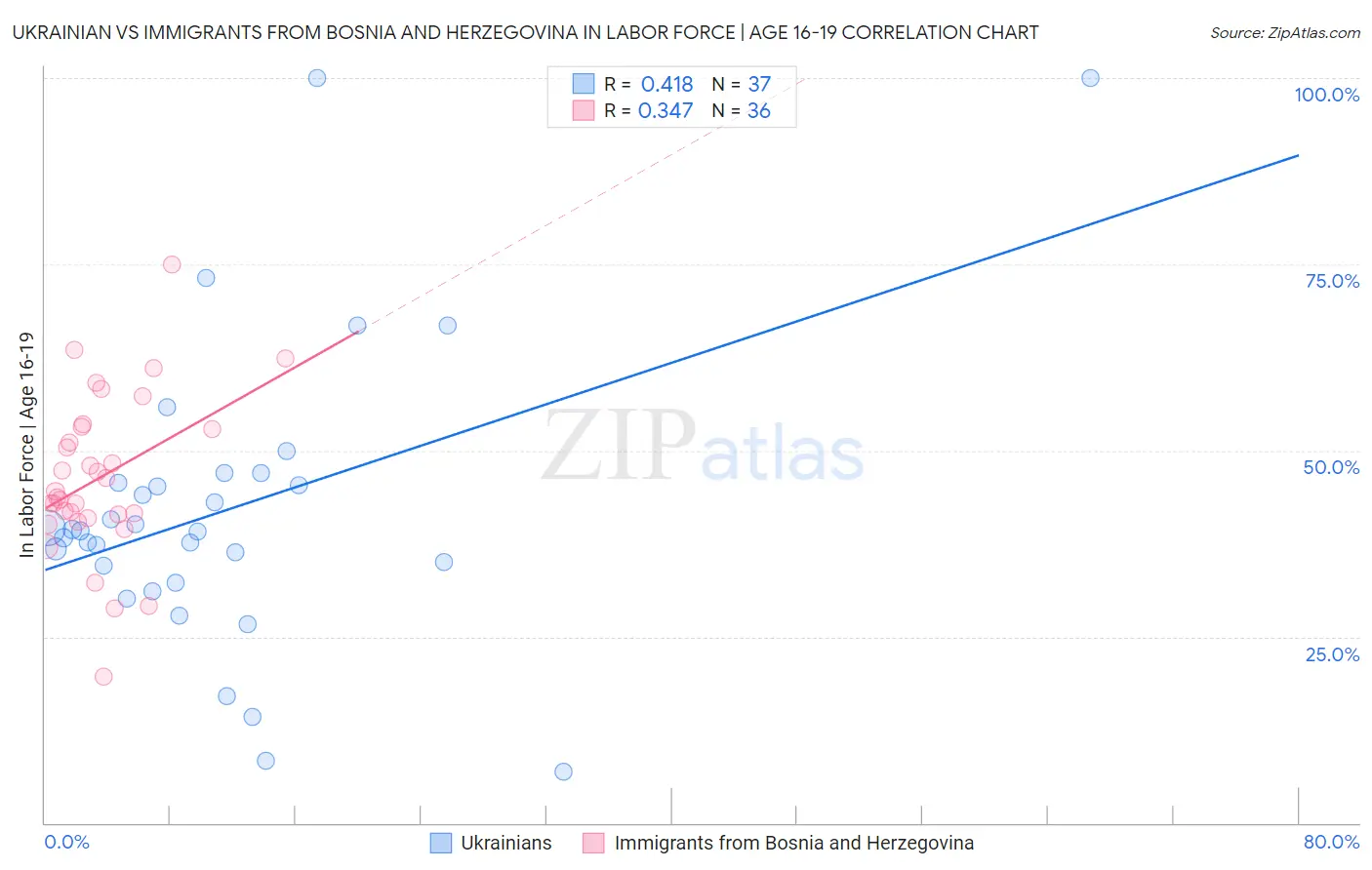 Ukrainian vs Immigrants from Bosnia and Herzegovina In Labor Force | Age 16-19