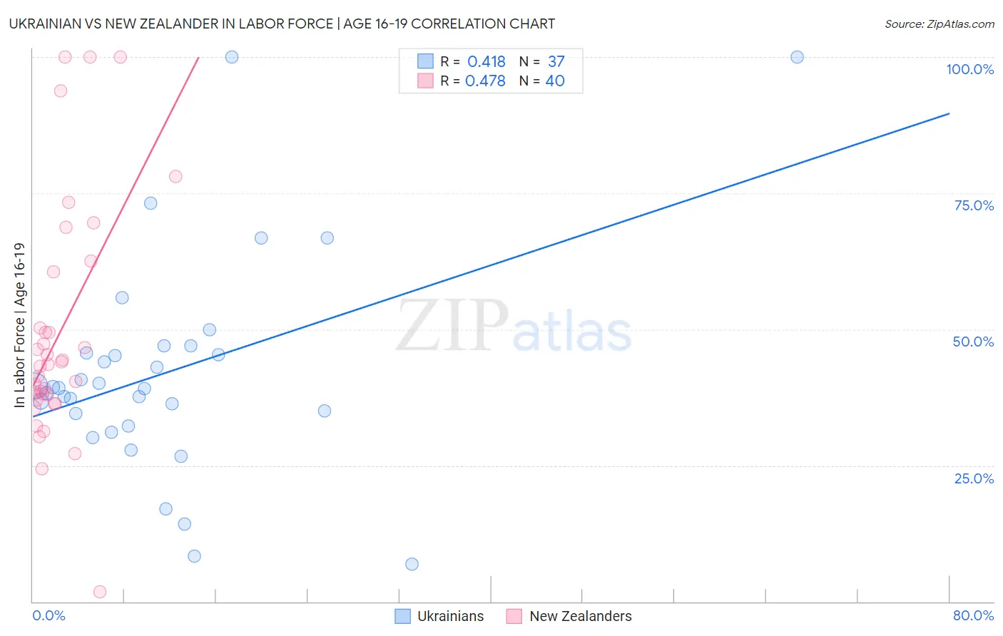 Ukrainian vs New Zealander In Labor Force | Age 16-19