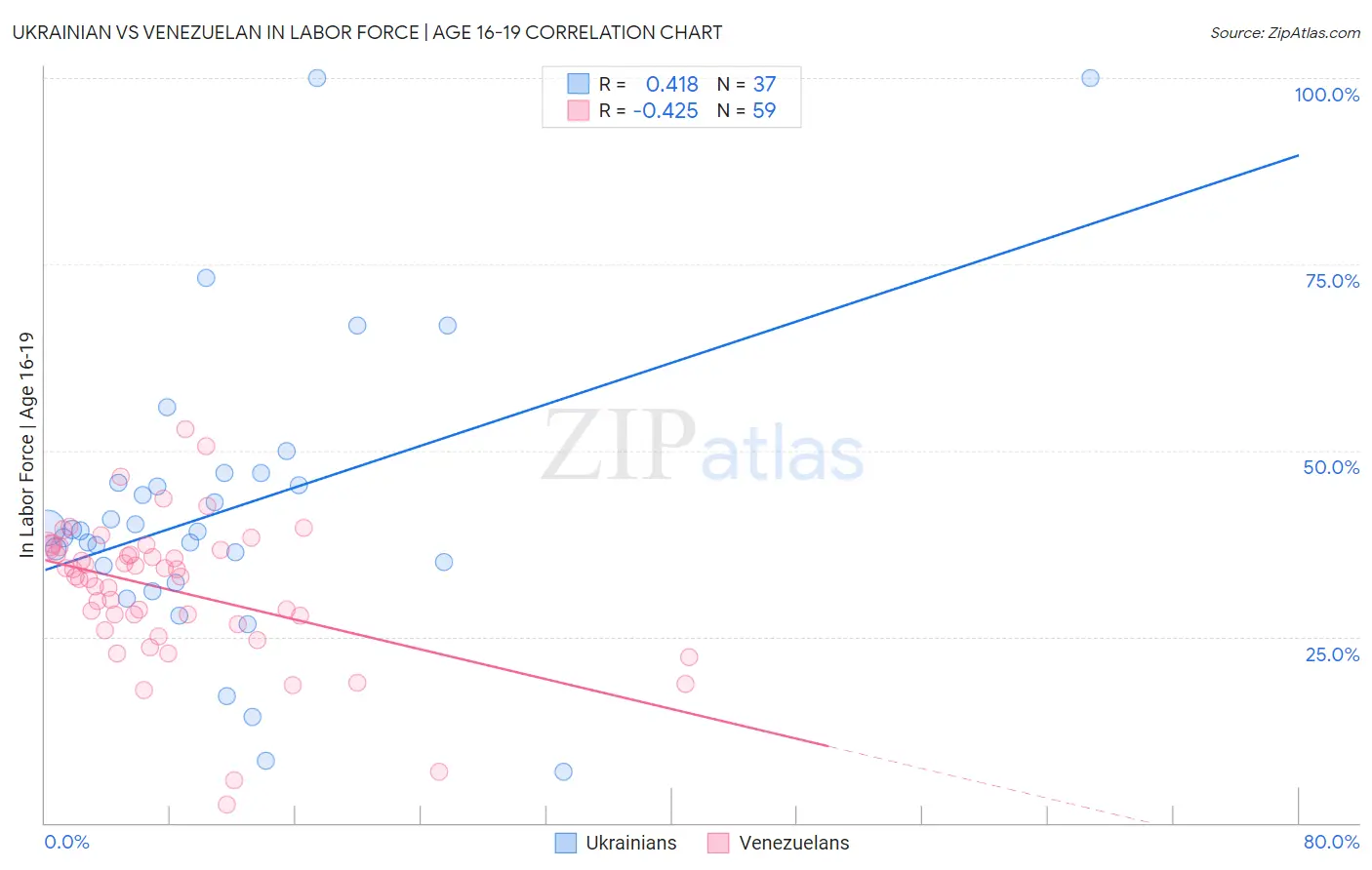 Ukrainian vs Venezuelan In Labor Force | Age 16-19