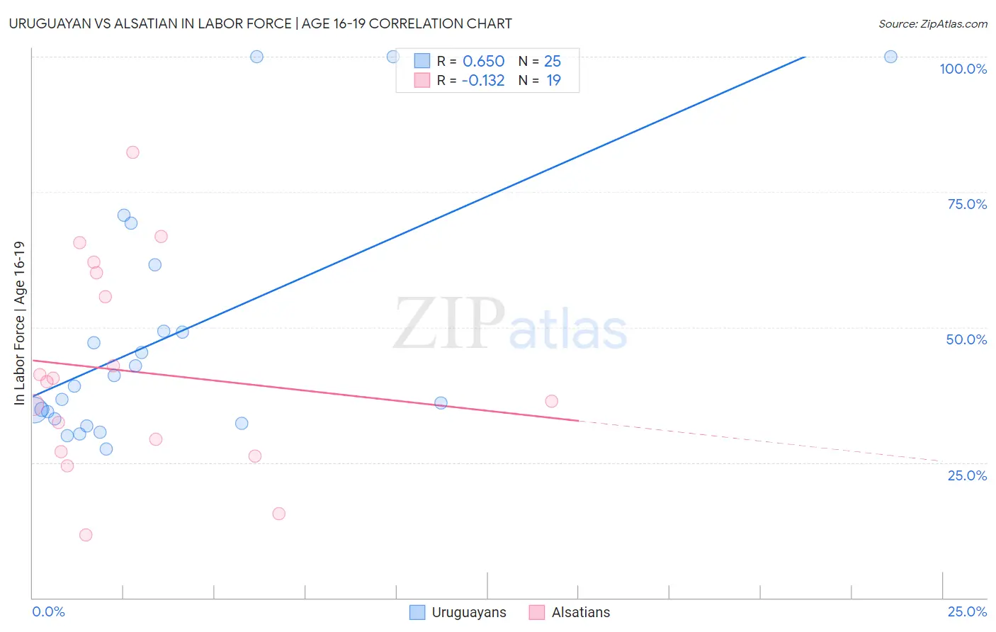 Uruguayan vs Alsatian In Labor Force | Age 16-19