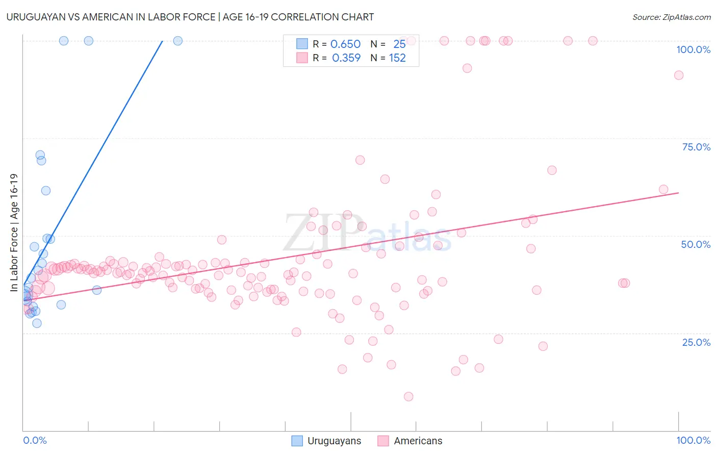Uruguayan vs American In Labor Force | Age 16-19