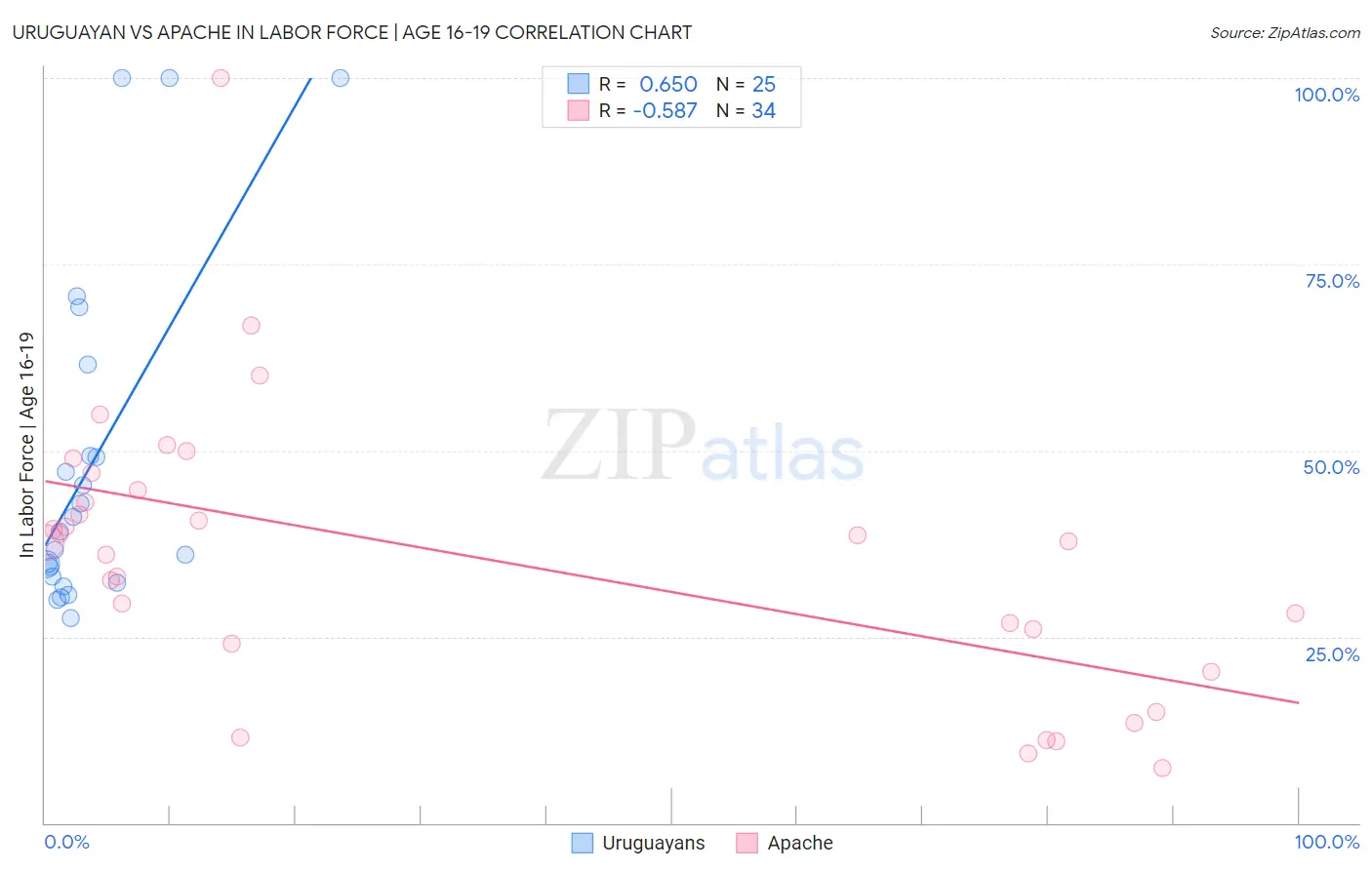 Uruguayan vs Apache In Labor Force | Age 16-19