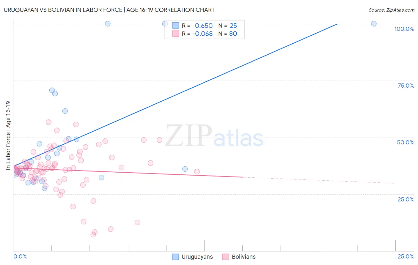 Uruguayan vs Bolivian In Labor Force | Age 16-19