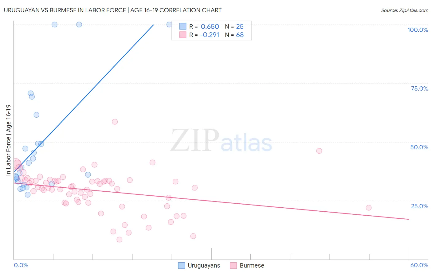 Uruguayan vs Burmese In Labor Force | Age 16-19