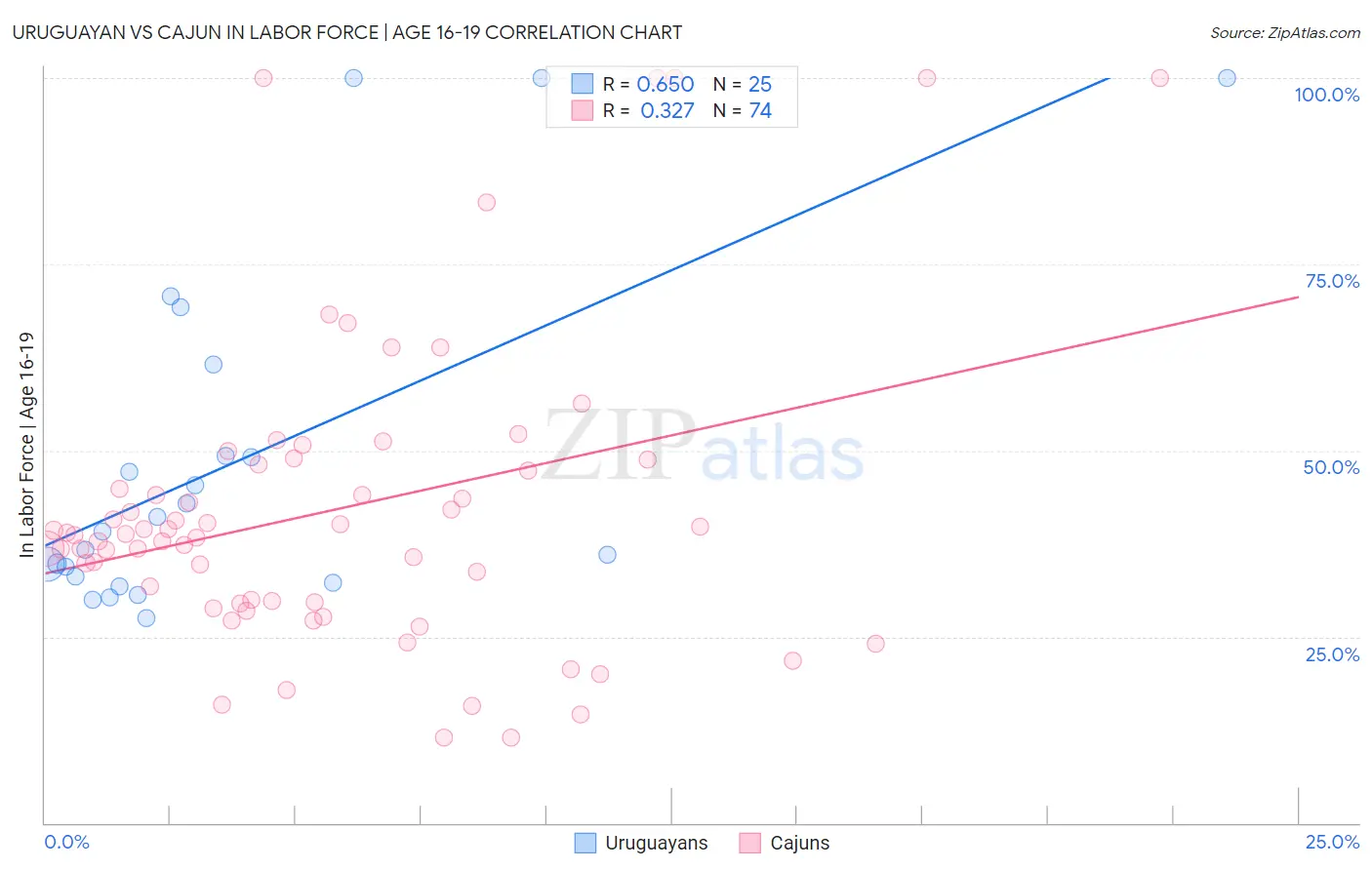 Uruguayan vs Cajun In Labor Force | Age 16-19