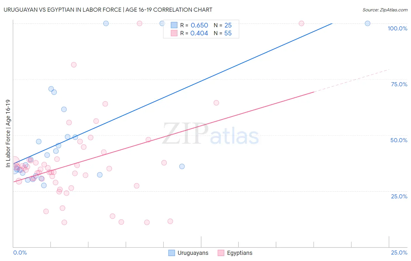 Uruguayan vs Egyptian In Labor Force | Age 16-19