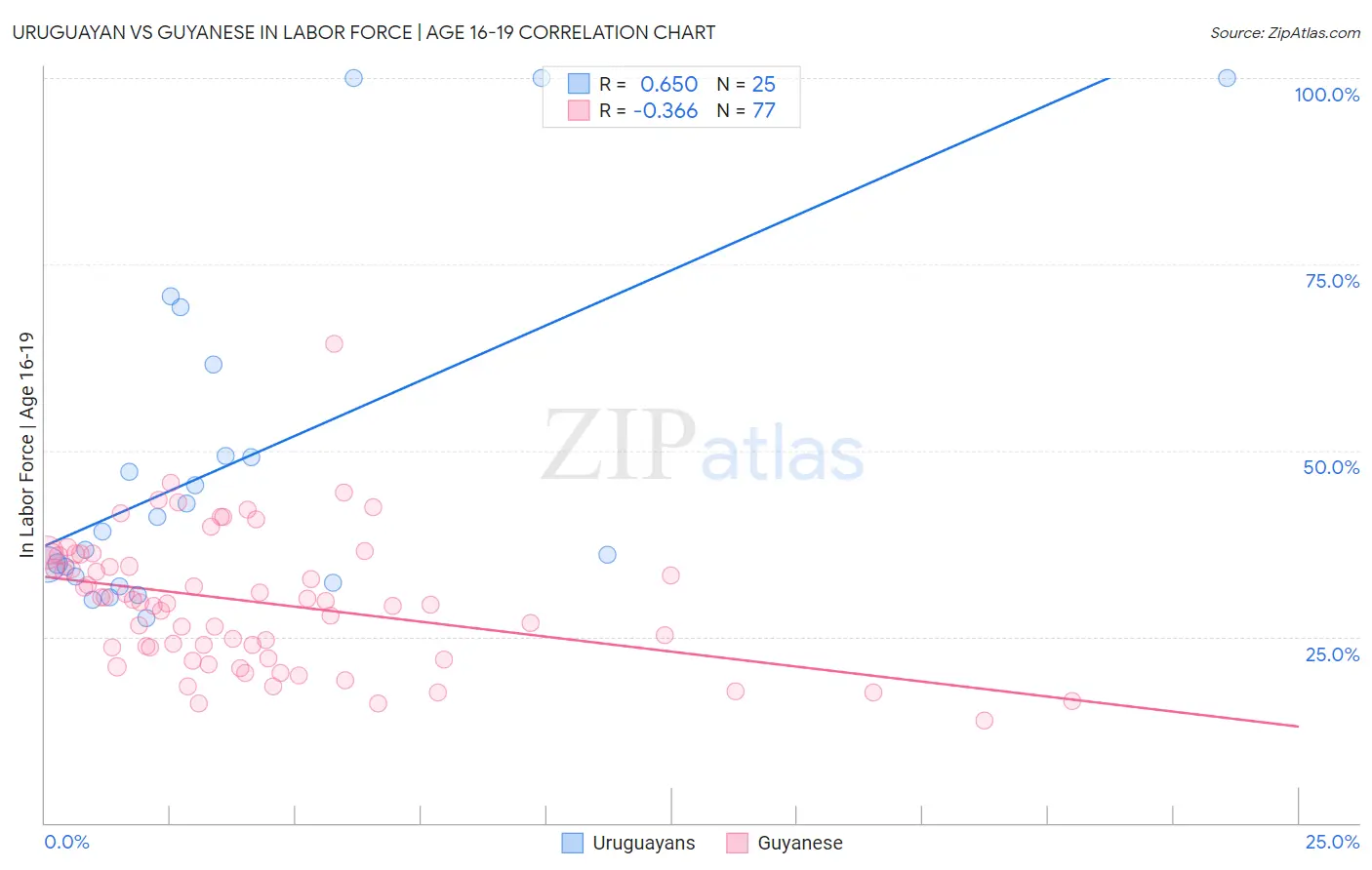 Uruguayan vs Guyanese In Labor Force | Age 16-19