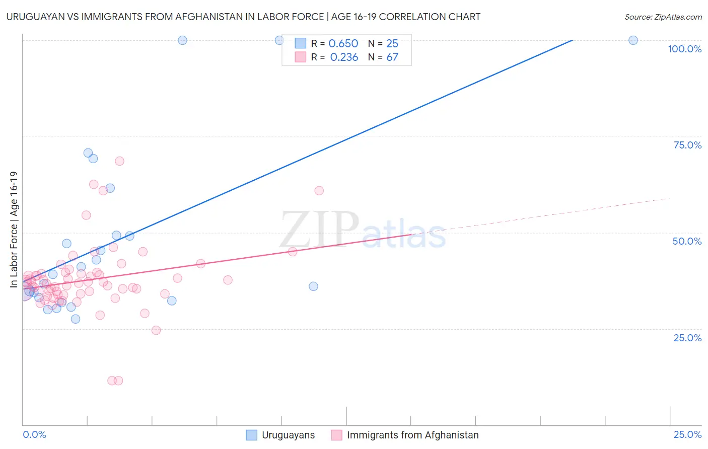 Uruguayan vs Immigrants from Afghanistan In Labor Force | Age 16-19