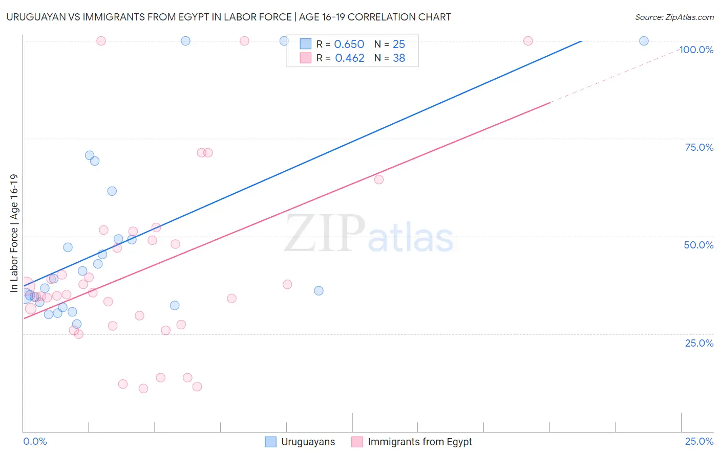 Uruguayan vs Immigrants from Egypt In Labor Force | Age 16-19