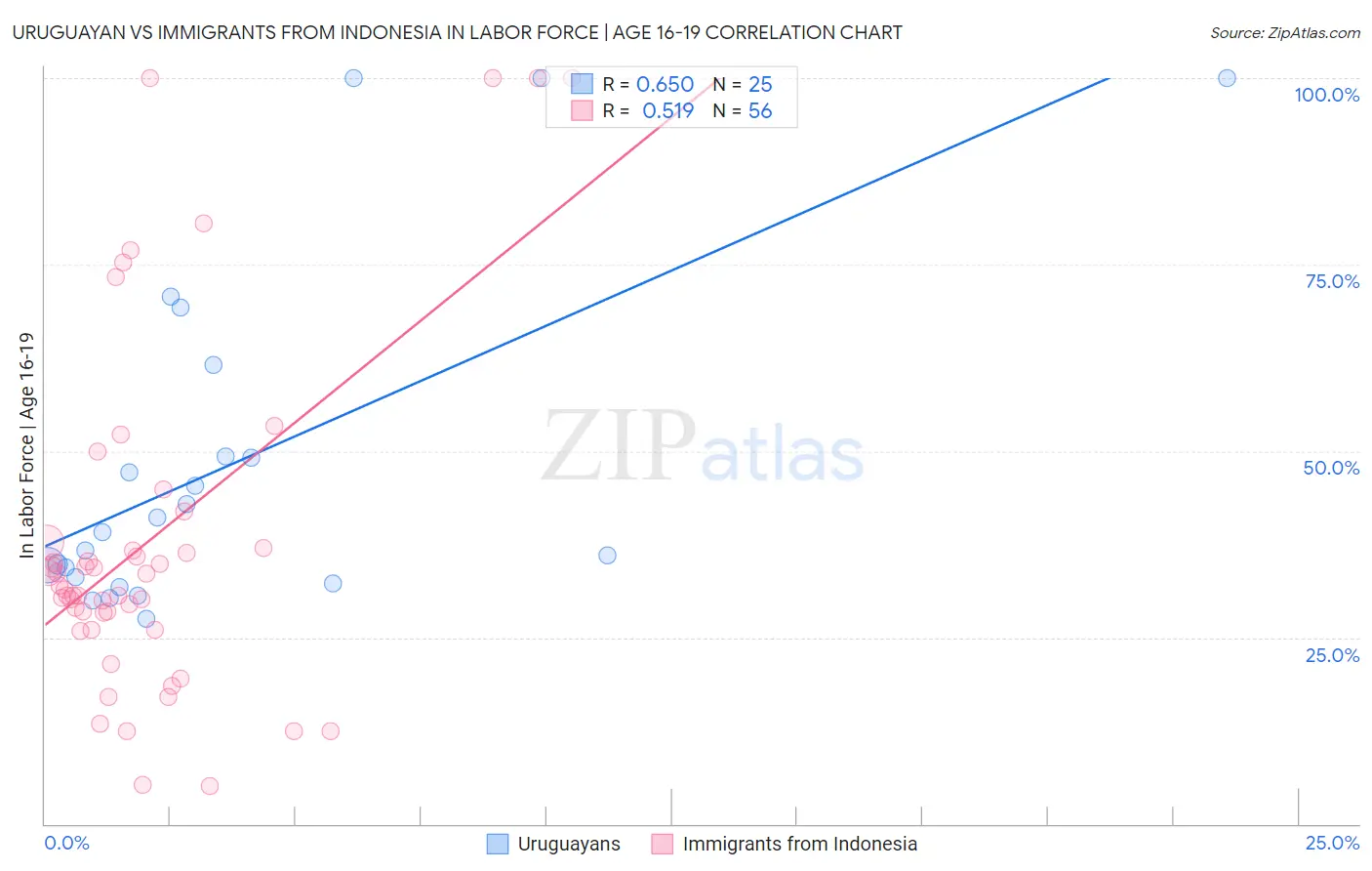 Uruguayan vs Immigrants from Indonesia In Labor Force | Age 16-19