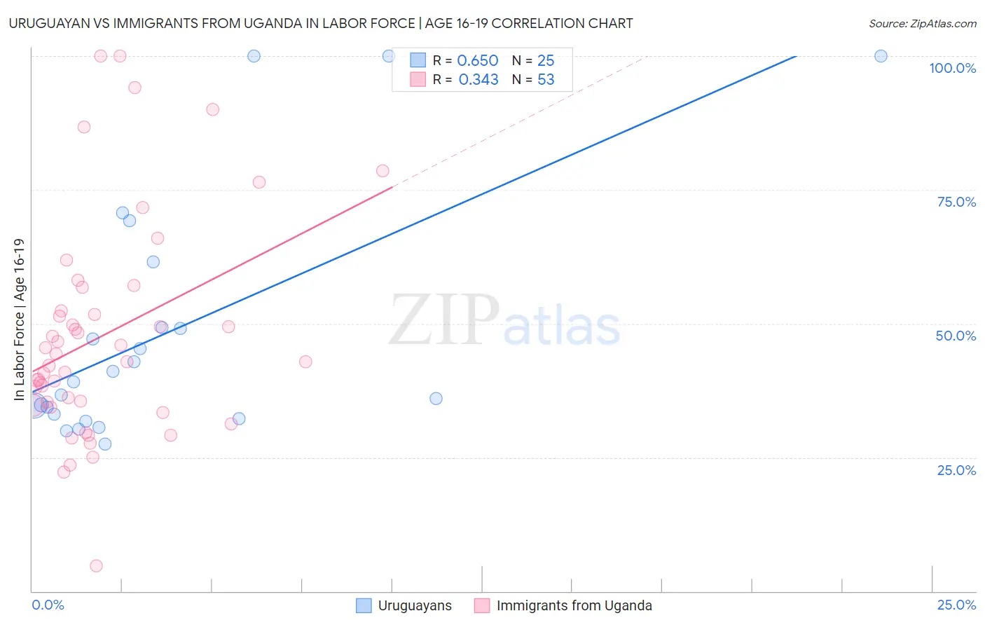 Uruguayan vs Immigrants from Uganda In Labor Force | Age 16-19