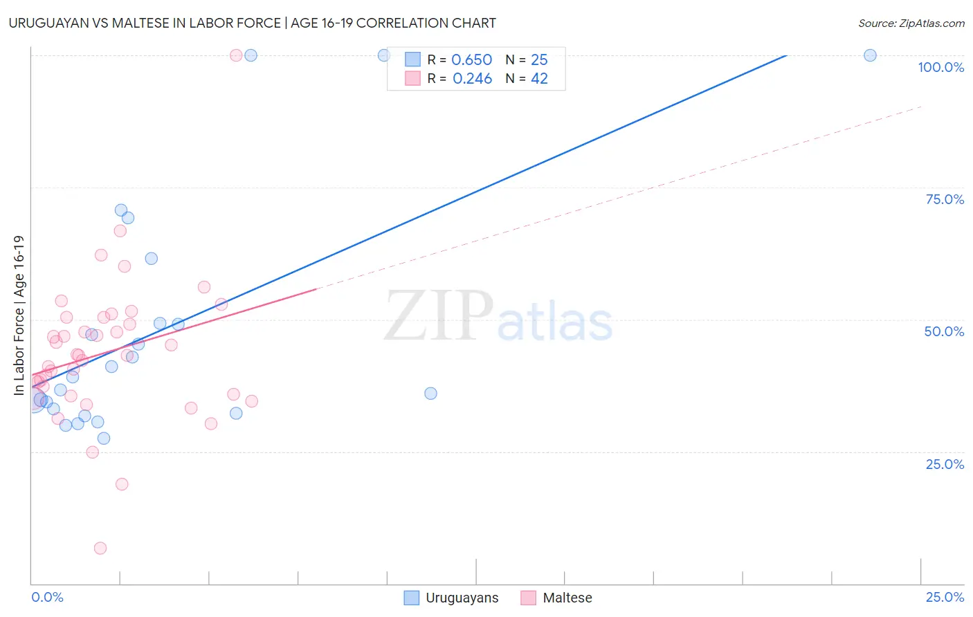 Uruguayan vs Maltese In Labor Force | Age 16-19