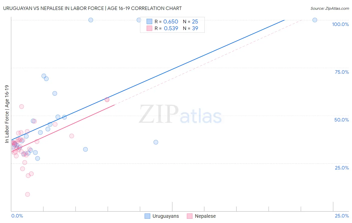 Uruguayan vs Nepalese In Labor Force | Age 16-19