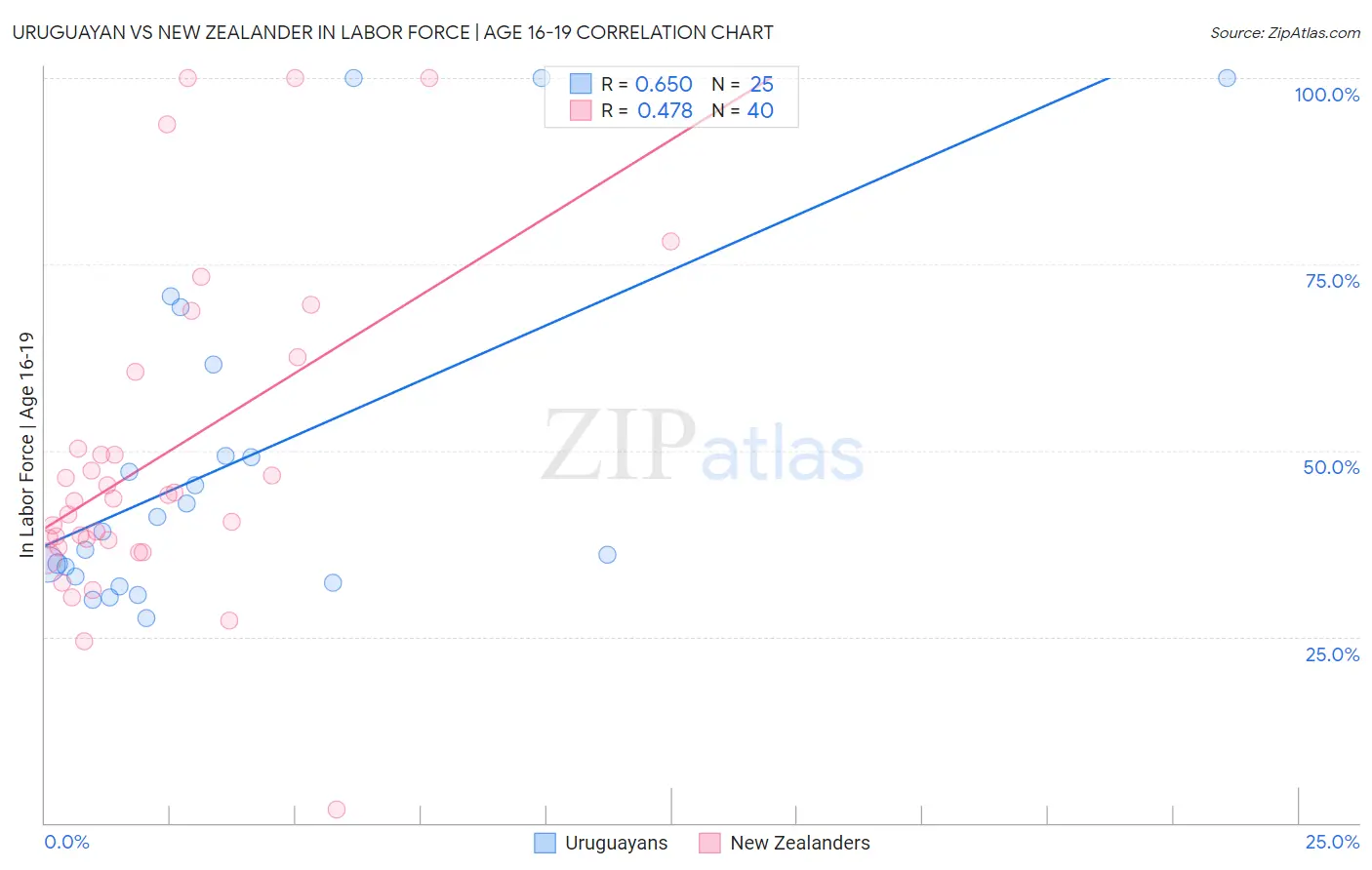 Uruguayan vs New Zealander In Labor Force | Age 16-19
