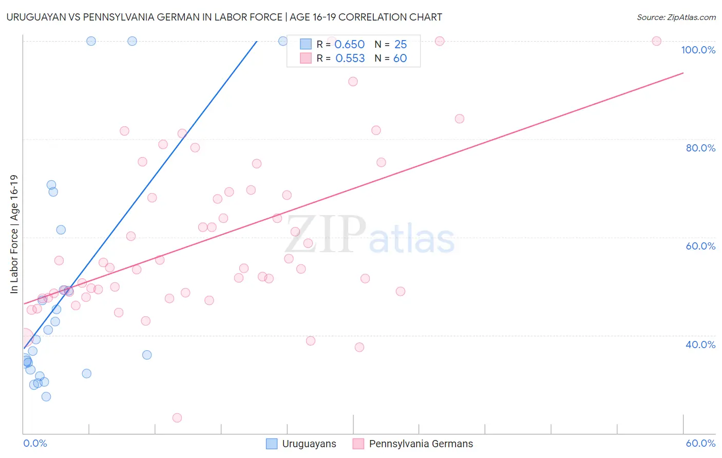 Uruguayan vs Pennsylvania German In Labor Force | Age 16-19