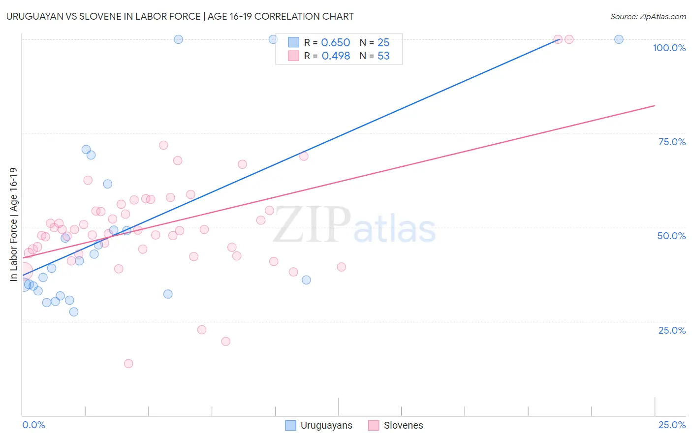 Uruguayan vs Slovene In Labor Force | Age 16-19