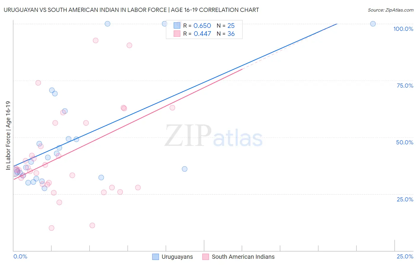 Uruguayan vs South American Indian In Labor Force | Age 16-19