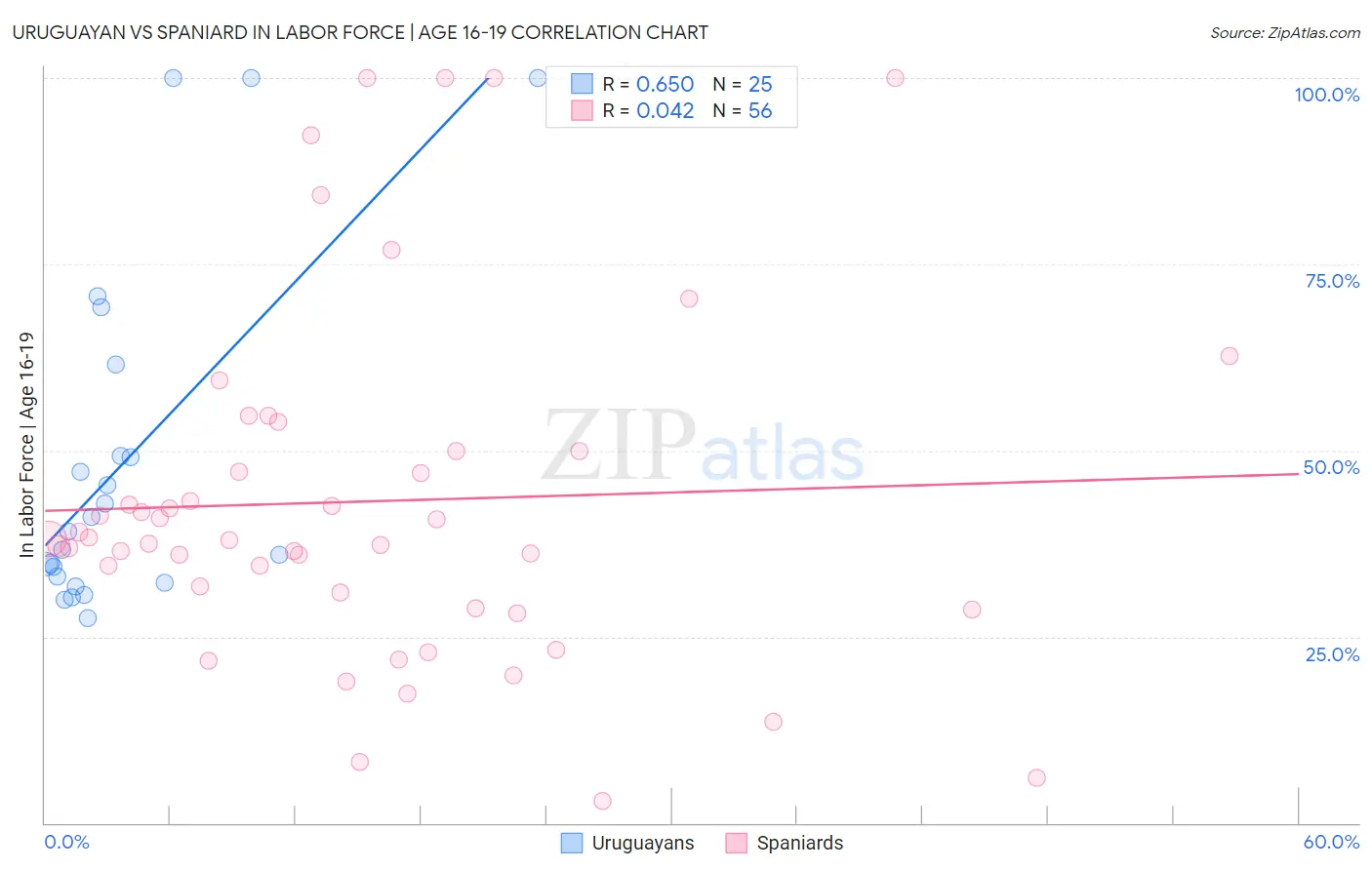 Uruguayan vs Spaniard In Labor Force | Age 16-19